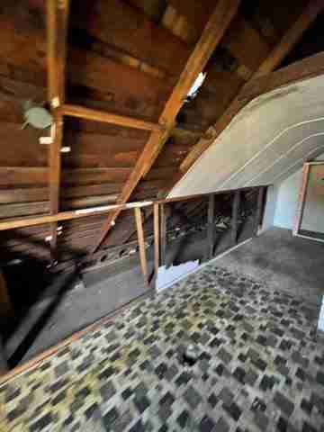 17257 bloom (41).jpg